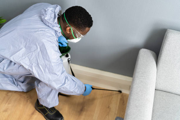 Best Fumigation Services  in Webberville, MI